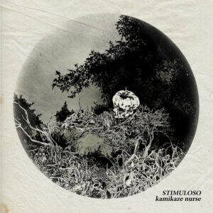 Stimuloso by Kamikaze Nurse Album review by Greg Walker for Northern Transmissions