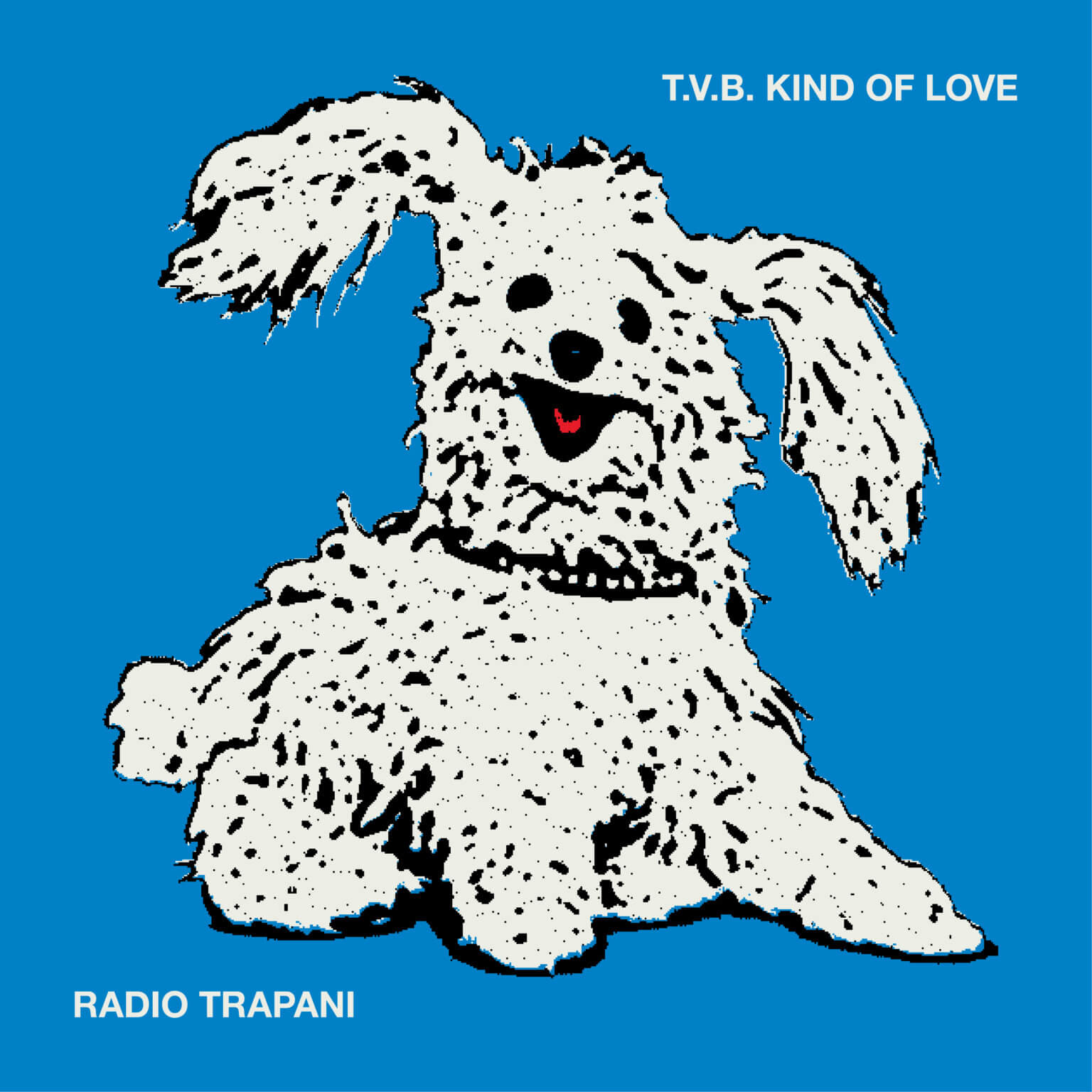 T.V.B. kind of love is the new concept album by Radio Trapani, now available via streaming platforms via Spazio Dischi