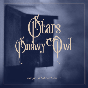 "Snowy Owl" by Stars (Ben Gibbard Remix) is Northern Transmissions Video of the Day. The track is available to day via DSPs