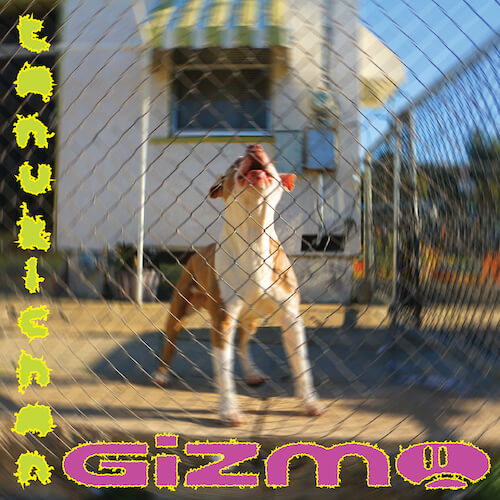 Gizmo by Tanukichan album review by Greg Walker for Northern Transmissions