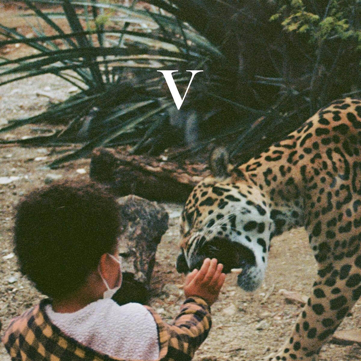 V by Unknown Mortal Orchestra album review by Lauren Rosier for Northern Transmissions