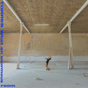 What an enormous room by Torres album review by Greg Walker for Northern Transmissions