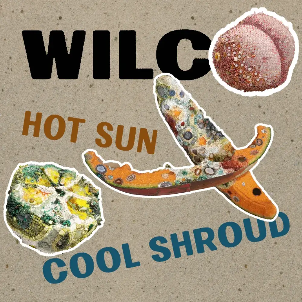 Hot Sun Cool Shroud by Wilco album review by Camryn Teder for Northern Transmissions. The Chicago band's LP drops on June 28th via dBpm