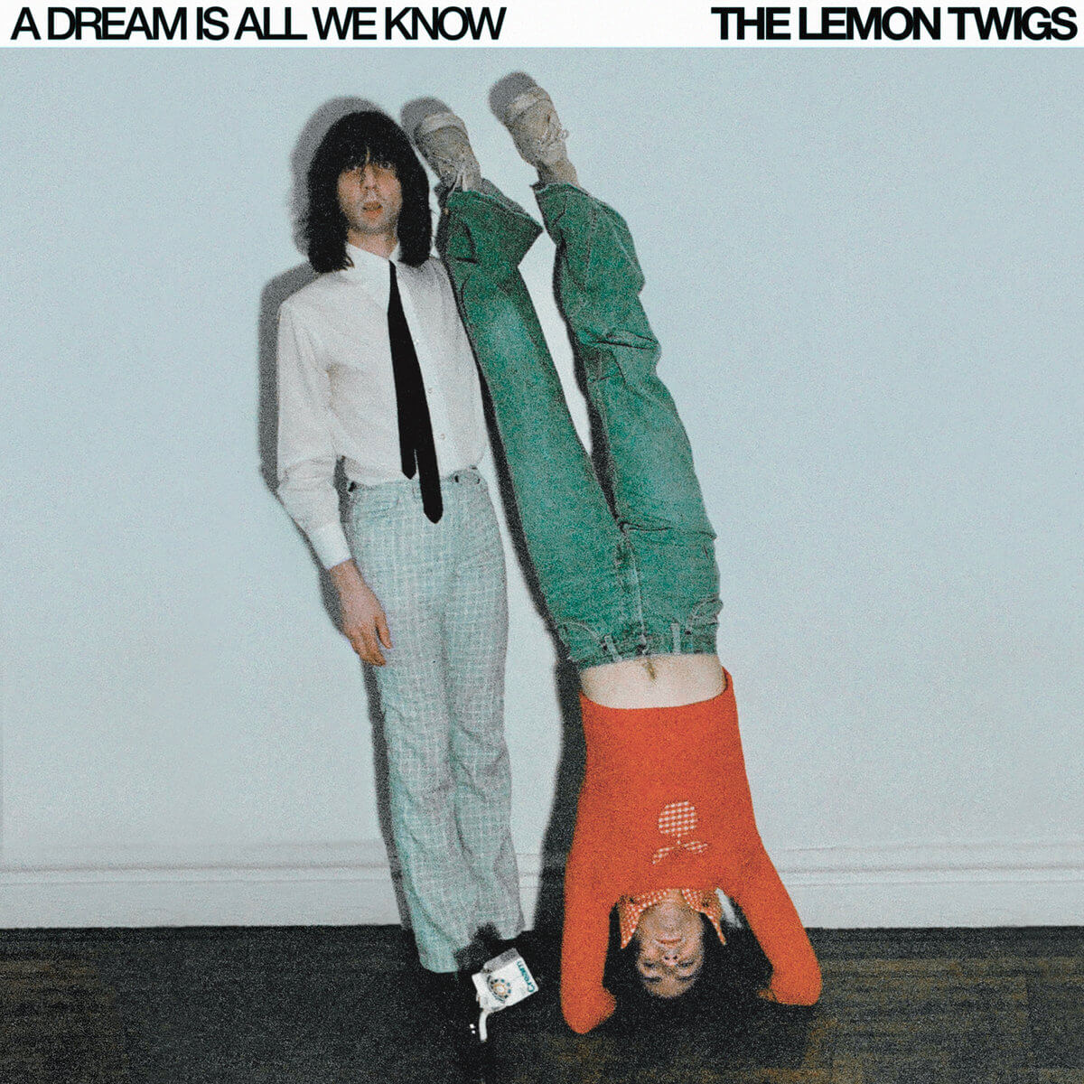 A Dream is All We Know by The Lemon Twigs album review by David Saxum for Northern Transmissions. The duo's LP is now out on Captured Tracks