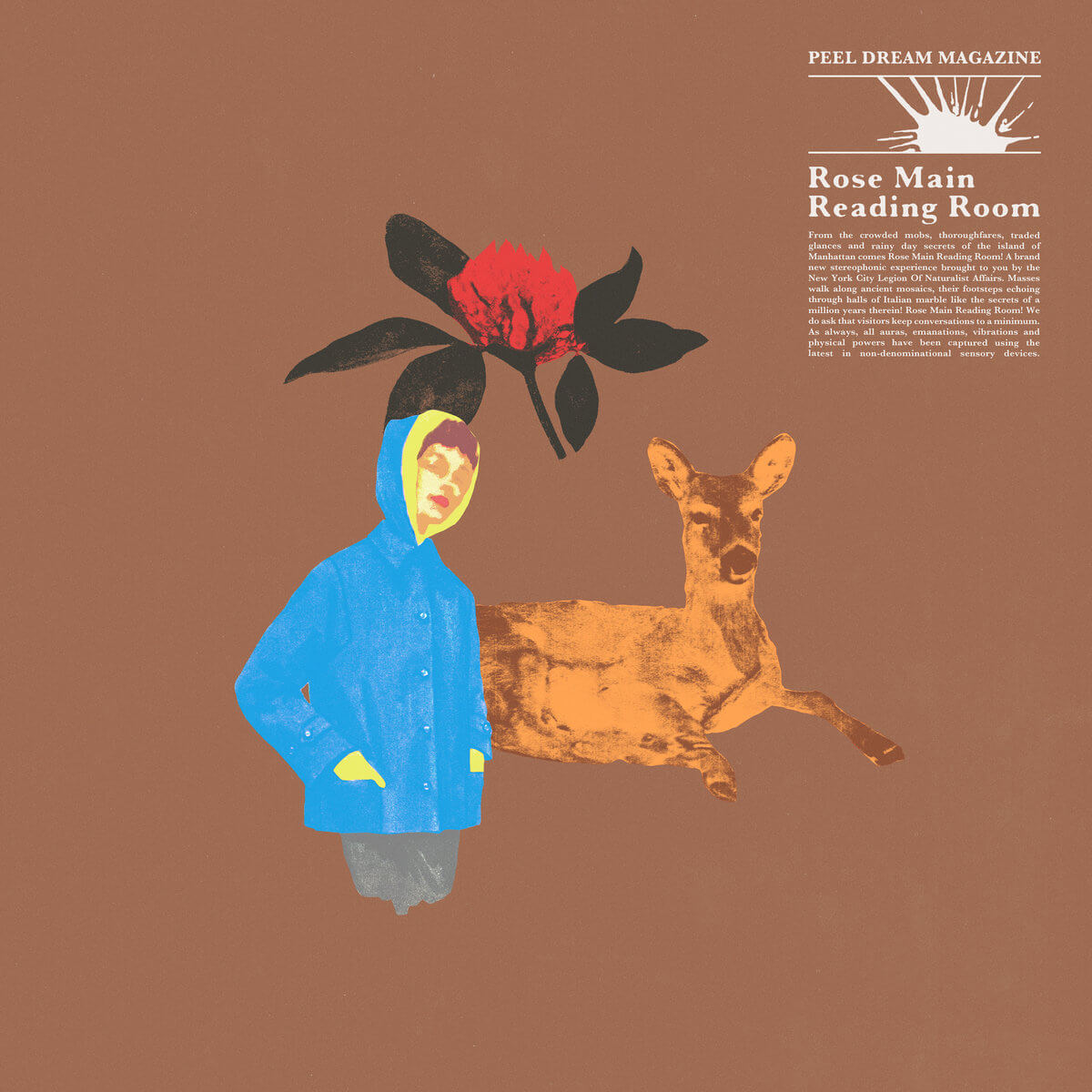 Rose Main Reading Room by Peel Dream Magazine album review by Richard Deane for Northern Transmissions, the LP is now out on Top Shelf Records