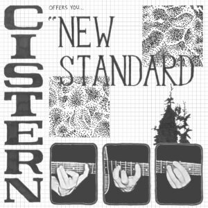 New Standard by Cistern album review by Ben Lock for Northern Transmissions. The Canadian band's EP drops on November 22 via Meat Machine