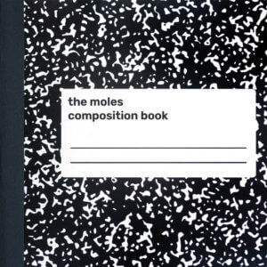 Composition Book by The Moles album review by Greg Walker for Northern Transmissions. The LP is now out via Splendid Research label