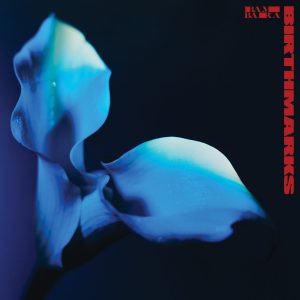 Birthmarks by Bambara album review by Micheal Mannix for Northern Transmissions. The LP drops on March 14th