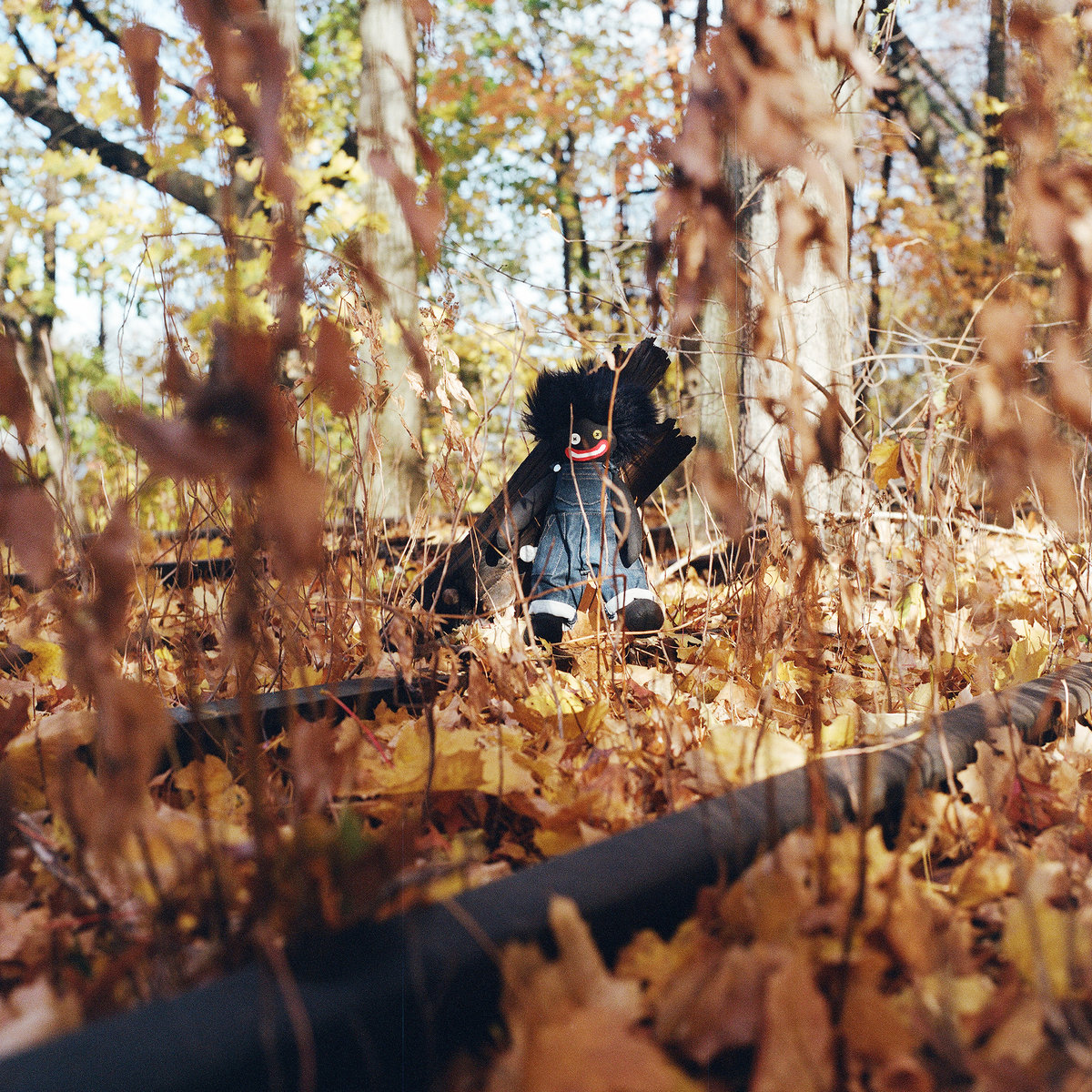 GOLLIWOG by Billy Woods album review by Ben Lock for Northern Transmissions. The artist's new LP is now out via backwoodz studioz