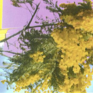 Four Tet releases new single “Into Dust (Still Falling).” The track is available today via XL Recordings and streaming services