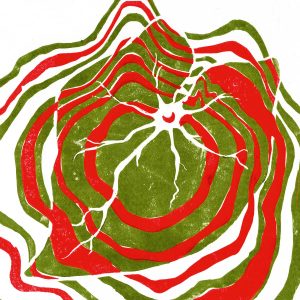 Raspberry Moon by Hotline TNT album review by Leslie Ken Chu for Northern Transmissions. The LP drops on June 20th via Third Man Records