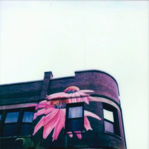 "Good Luck Babe" by Rose Cousins (Chappell Roan cover) is Northern Transmissions Video of the Day