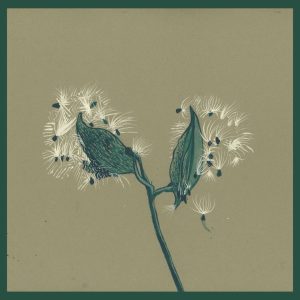 David Longstreth Releases 'Song of the Earth' Instrumentals, Performed by Dirty Projectors and s t a r g a z e, now available via Nonesuch
