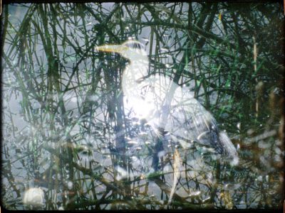 Midwife and Matt Jencik release visualizer for "Never Die." The duo's collaborative album drops on July 11th via Relapse Records