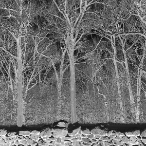 Sunshine and Balance Beams album review by Gareth O'Malley for Northern Transmissions. The LP drops on August 15th via Sooper Records