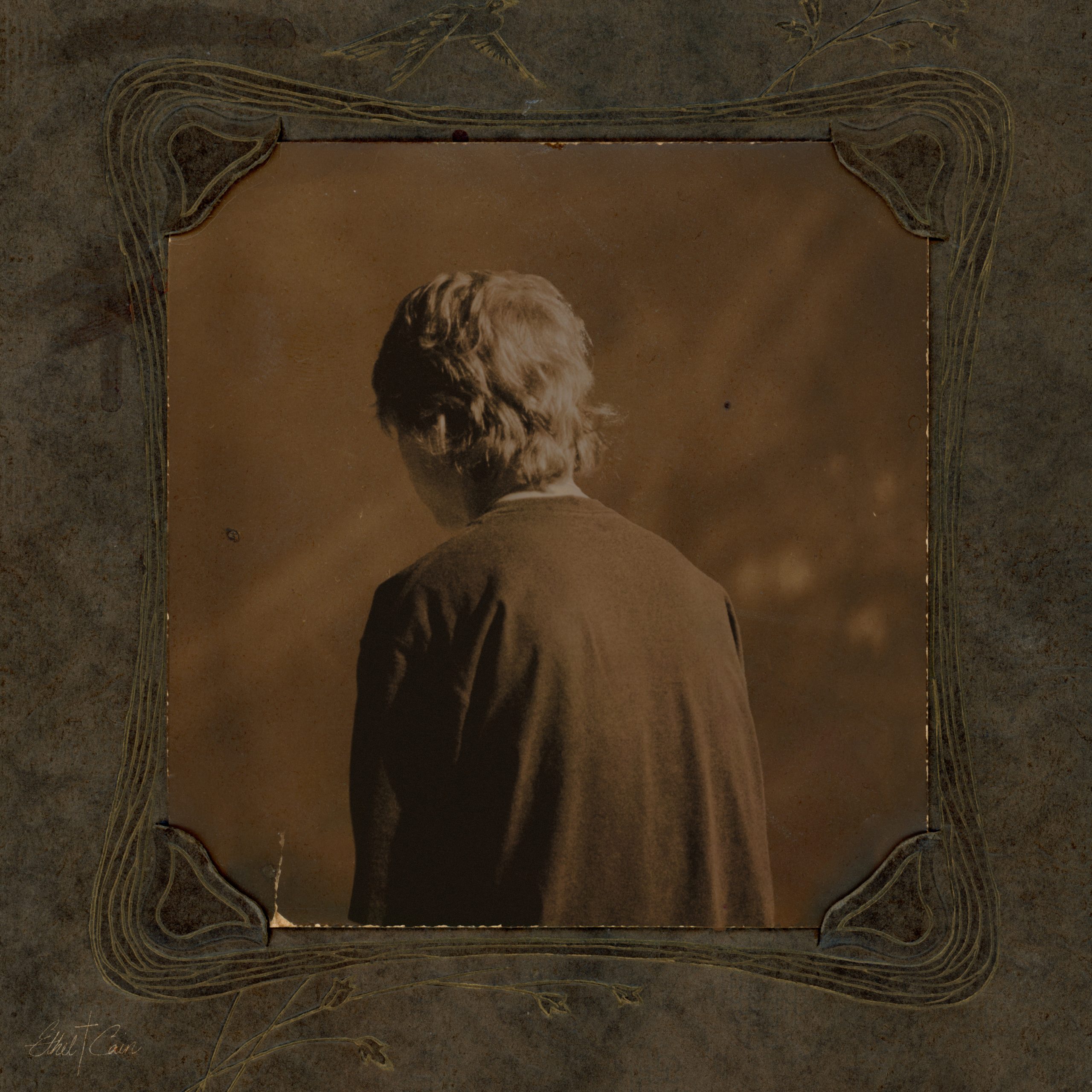 Willoughby Tucker I’ll Always Love You album review by Victoria Borlando for Northern Transmissions. The LP drops 8/8 via Daughters of Cain