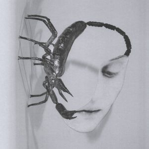 Touch by Tortoise album review album by Victor Gonzalez, The Chicago band's LP is now available via International Anthem/Nonesuch