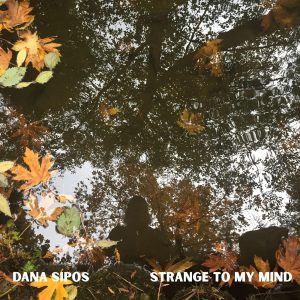 “Strange to my Mind” by Dana Sipos is Northern Transmissions Song of the Day. The track is off the artist's album Golden Molten, out 1/23