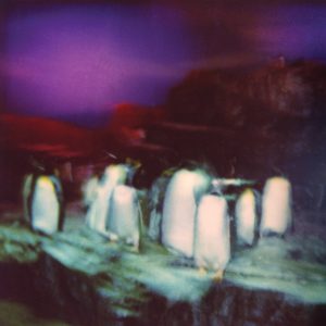 Shoulder To Shoulder by Buzzy Lee album review by Bella Gedeon for Northern Transmissions. The artist's LP is now out via Future Classic