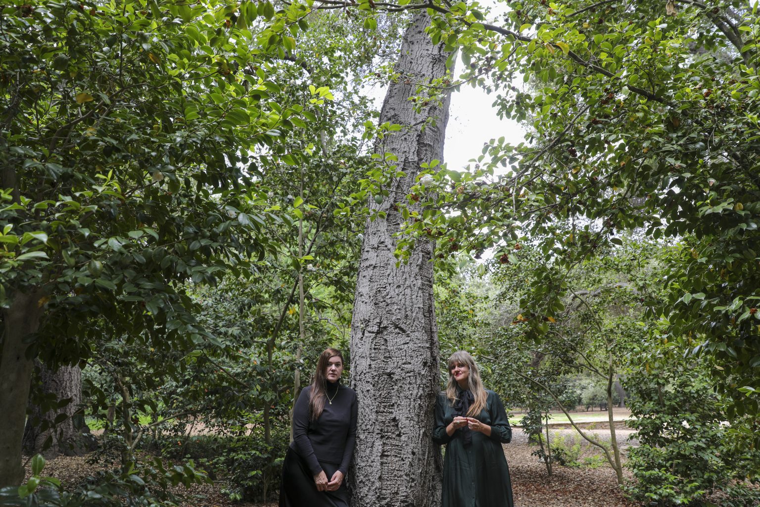 Julianna Barwick and Mary Lattimore new project, is the motion picture score for Threshold, a film about 4x Olympic Medalist Jessie Diggins