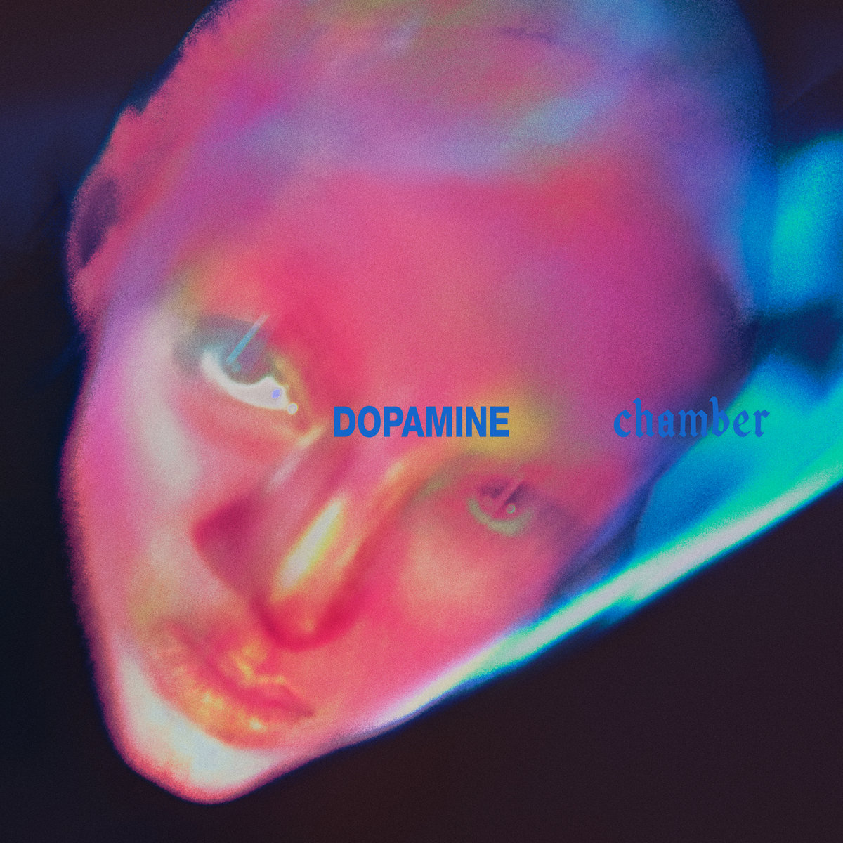 Dopamine Chamber by Fontaines D.C. album review by BellaJoli Gedeon for Northern Transmissions. The LP drops on October 16 via XL Recordings Dopamine Chamber by Fontaines D.C. album review by BellaJoli Gedeon for Northern Transmissions. The LP drops on October 16 via XL Recordings